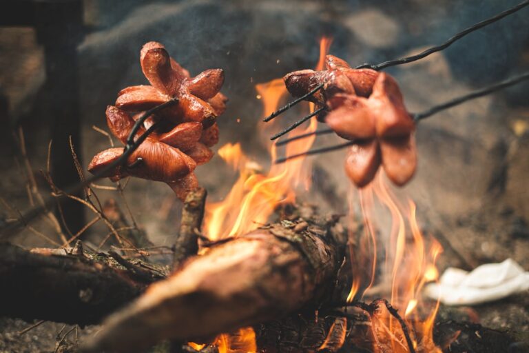 Wildlife Encounters: How to Respect Nature While Camping