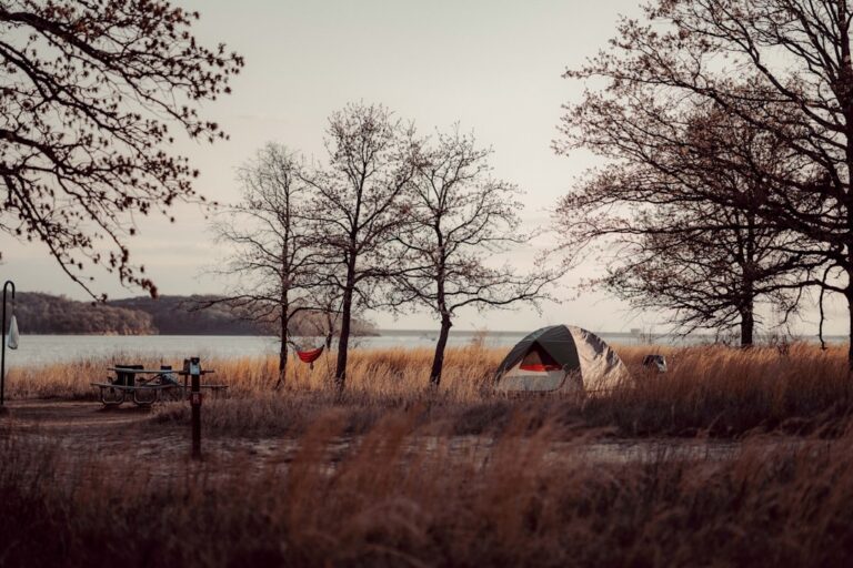 Eco-Friendly Camping: Sustainable Practices for Responsible Adventurers